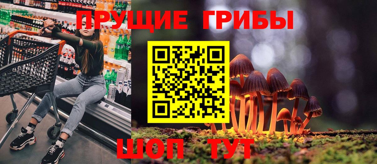 Каменск-Шахтинский  как найти   Вход с VPN  Псилоцибиновые грибы Psilocybe 